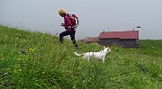 44 Dalla Baita sul sent. 262 verso la Bocchetta di Golla 